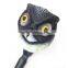 PE 3D Hunting Owl Decoy With Wings
