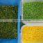 5400 pixel full color camera PET/PVC/ABS/PVB/HDPE/PLASTICS color sorter machine