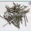 Common wire nails exporter of building nails