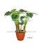 home decoration plants larger green pot 1.8m high GNW G158