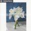 Home and party deoration kaffir lily bouquet for christmas flower making
