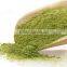 Manufacturer Supply Best Matcha Extract Powder