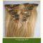Clip on Indian Human Hair Weft Extensions