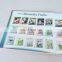 Custom matt printing full color printing hardcover series story book with perfect binding