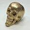 Wholesale 4'' Resin Skull for Halloween Party Plastic Skull Head