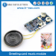 Electronic music module small recordable sound chip for greeting card