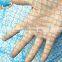 Polyethylene  Anti-bird Netting Blue with mesh size 2*2 cm for Farm Using