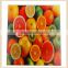 Bright Color Tempered Glass Kitchen Chopping Cutting Boards