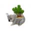 mini koala indoor ceramic planter plant flower pot for succulent plants