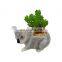 mini koala indoor ceramic planter plant flower pot for succulent plants