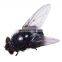 good-quality housefly killer High efficiency and low toxicity fly elimination popular products