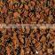 Wholesale Raw Coconut Shell  For Making Charcoal Besr Price From Vietnam
