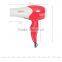 Professional Battery Ceramic No Noise Salon Standing Hair Dryer