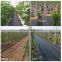 Anti Weed Mat 100% PP Woven Geotextile Weed Control Artificial Ground Cover For Blueberry