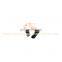 Foton Auman/Miler/Land Pioneer Truck Weichai Engine Truck Spare Parts 90003909603 Spring Cylindrical Pin