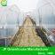 Popular Vegetable Tunnel Greenhouse