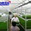Agriculture Green house, China cheap green house manufacturer