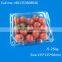 custom vacuum formed pet tray fresh fruit blister packaging