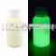 Top Quality Night Glow Color Pigment For Shoes Paint