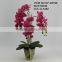 New Arrivals Butterfly Orchid Flower Artificial With Vase