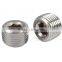Hex Socket Stainless Steel Pipe Plug with Geomate