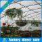 2016 Factory price new good quality plastic tunnel modular greenhouse