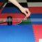 disposable absorbent floor mat