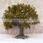 200cm Large Artificial Apple Tree,outdoor Plastic Fake Apple Tree