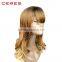 2016 New Arrival Large Stock Ombre Afro Full Lace Wig Human Hair Wig