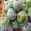 2016 CE standard Plastic EPE Foam Fruit packing Net mesh extruder Machine
