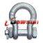 high quality anchor shackle bolt type US standard