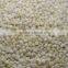 white sorghum seeds for animal feed