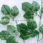 Decorative Foliage H70cm Artificial Green Rose Leaves