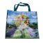 2015 Huge shopping bag for sale