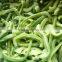 2016wholesale Frozen Green Pepper,Frozen Green Bell Pepper Frozen DICES