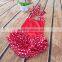 Baby Girl Tutu Ruffle Red Princess Baby Romper