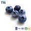 TTN 2016 Chinese Snacks Wholesale Freeze Dried Blueberry Prices
