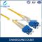 Manufacturer supply armored fiber optical ftth 2 core patch cord