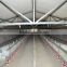 hot sale automatic broiler mechanized poultry farming