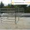 new style china suprior high quality gal-horse stall