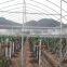 Economical greenhouse/Vegetable greenhouse/Flower greenhouse/Seeding greenhouse/Shading greenhouse