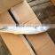 Whole Round Good Quality Spanish Mackerel For Consumption