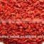 mixed dried goji berry