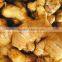 Fresh Ginger Viet Nam, Best Price