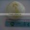 Different size of peeled onion with good price exporter in china