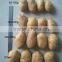 Fresh Potato