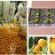 healthy and natural canned yellow peach and canned fruits for hot sale
