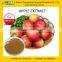 GMP supply high quality Apple extract Powder