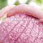 VF Purple Onion Chips high quality competitive price