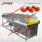 Automatic Strawberry Washer